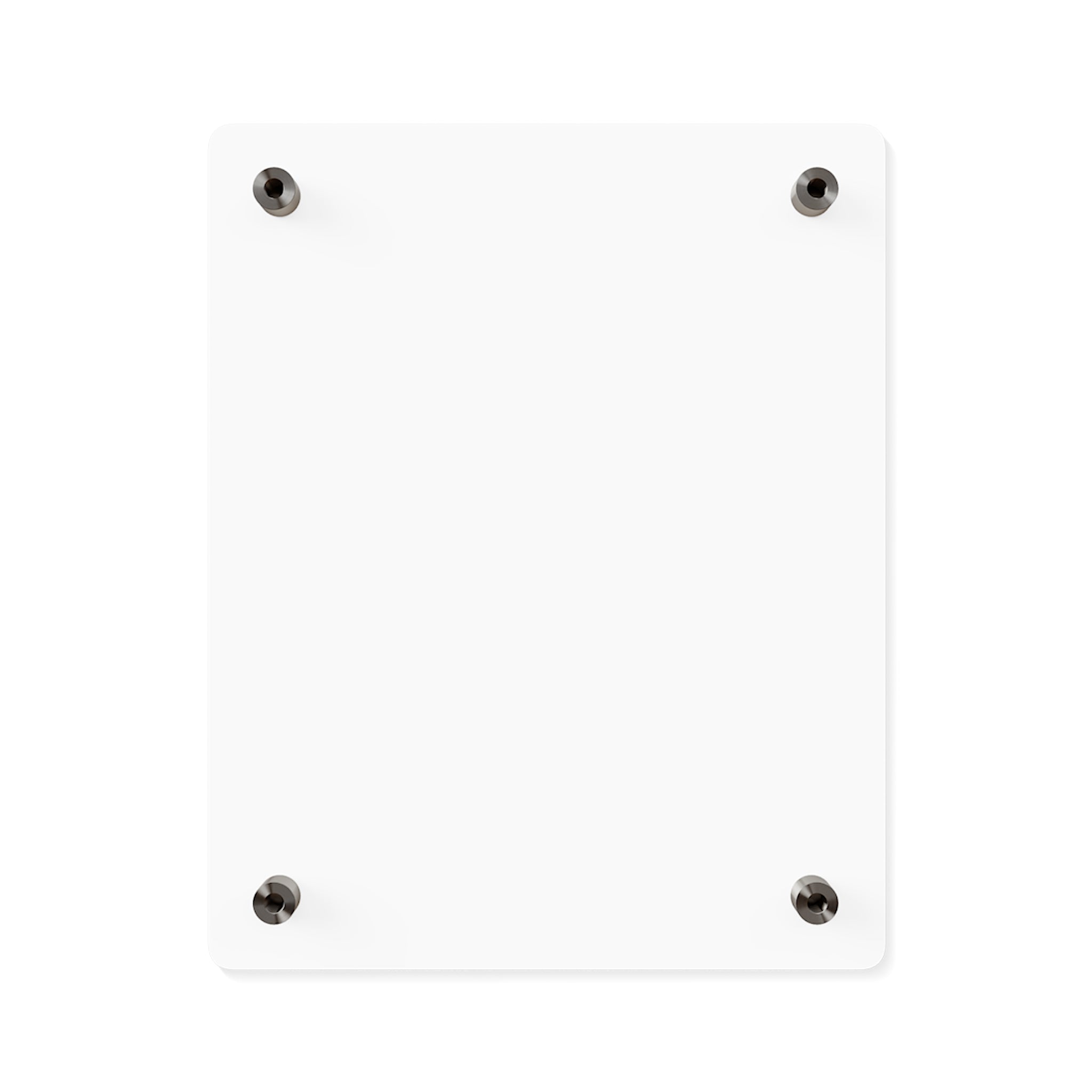 Acrylic Wall Art Panels