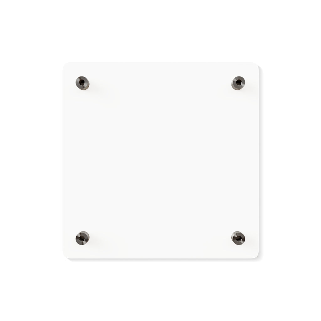 Acrylic Wall Art Panels