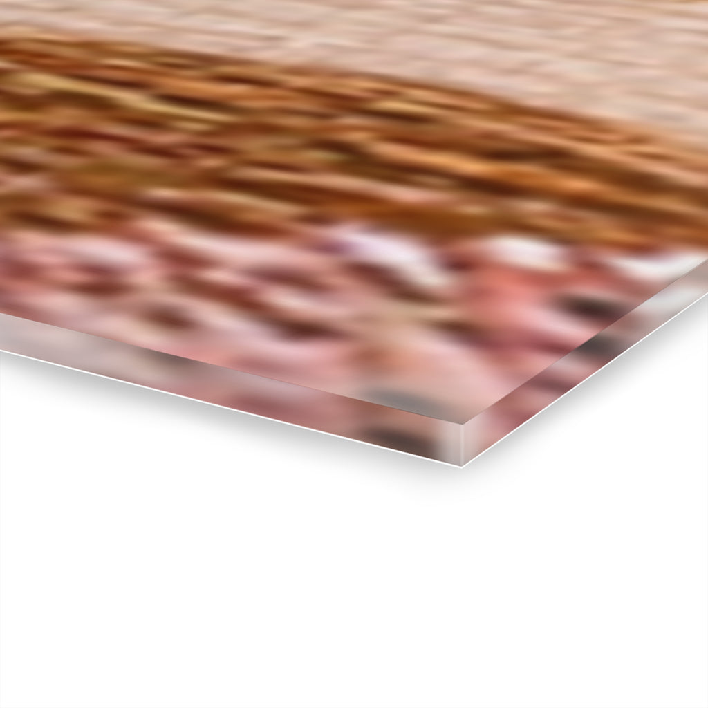 Abstract Dot & Stripe Triptych Acrylic Wall Art